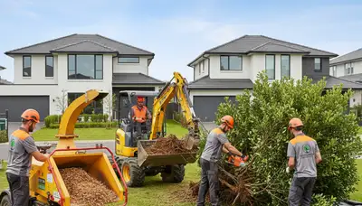 Professional shrub removal service in Miami Beach FL clearing overgrown bushes and hedges