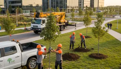 Arborists planting salt-tolerant trees in coastal yard, Miami Beach FL tree service professionals